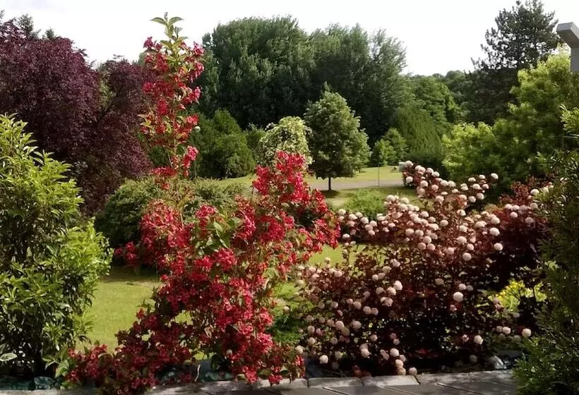 Logis Hotel Maison Carrée Restaurant O Carré Dart