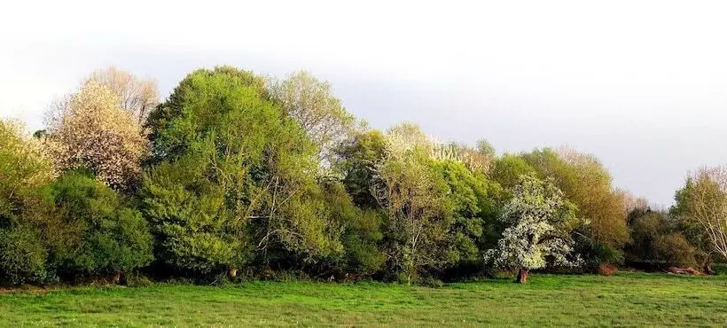 Logis Hotel Maison Carrée Restaurant O Carré Dart