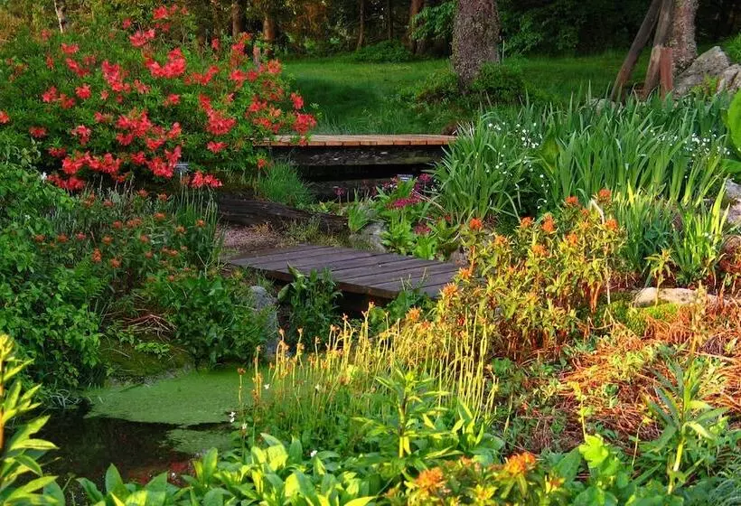 Logis Hotel Maison Carrée Restaurant O Carré Dart