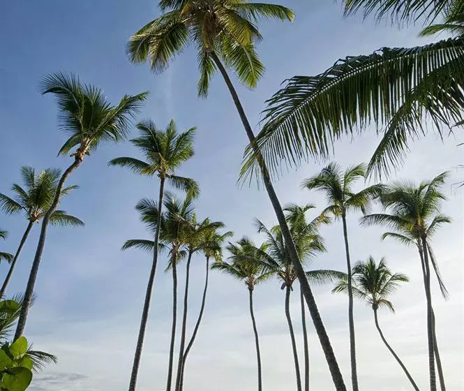 هتل Meliá Caribe Tropical Beach & Golf Resort