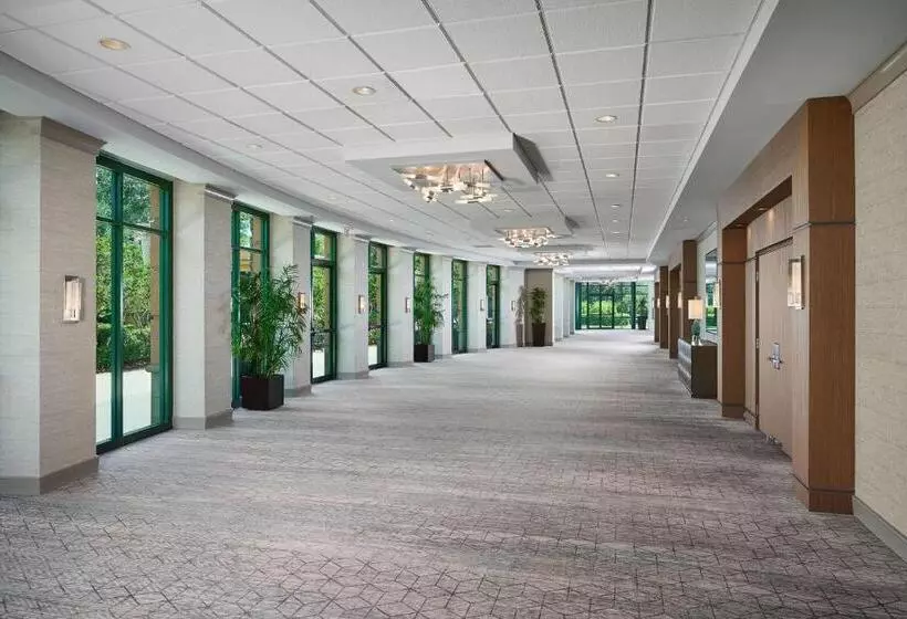 Отель Orlando Marriott Lake Mary