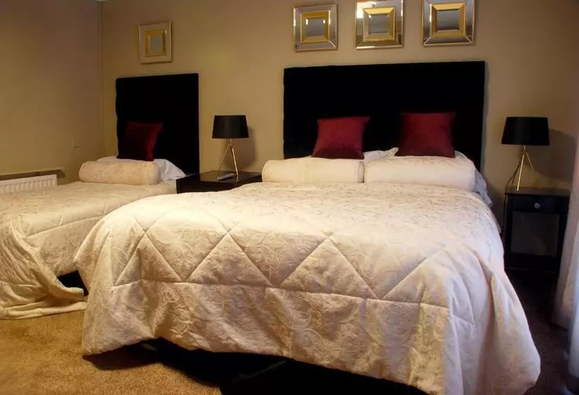 فندق The Metropole