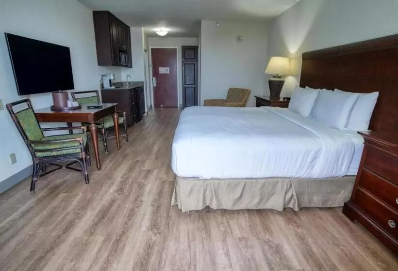 Treasure Island Hotel And Marina