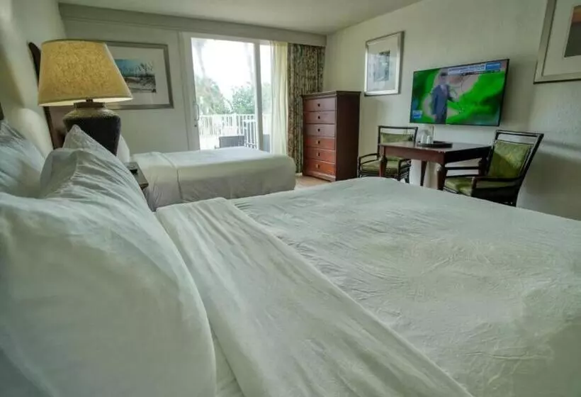 Treasure Island Hotel And Marina