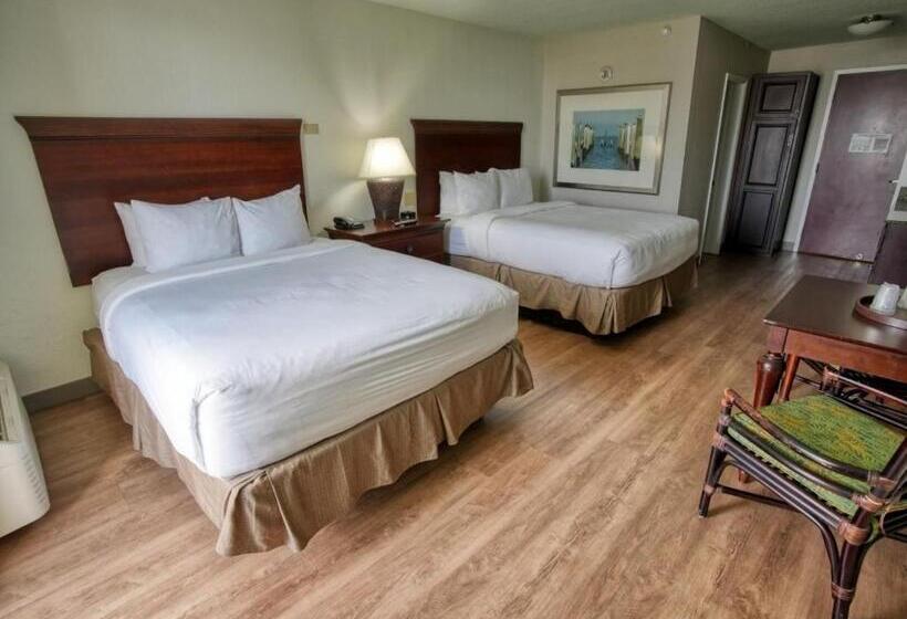 Treasure Island Hotel And Marina