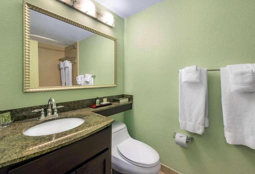 Treasure Island Hotel And Marina