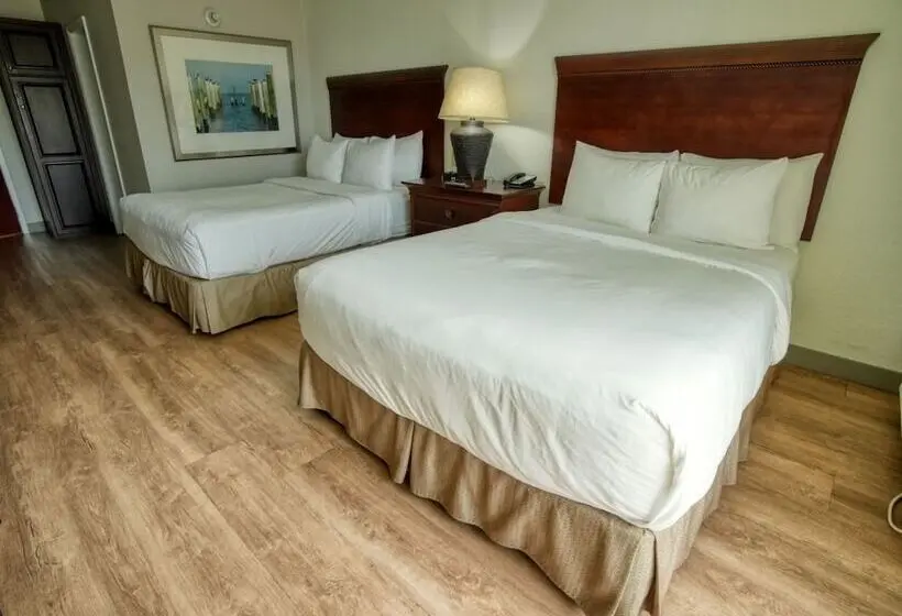 Treasure Island Hotel And Marina