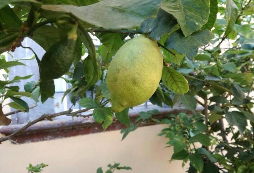 צימר Relais Villa Poschi