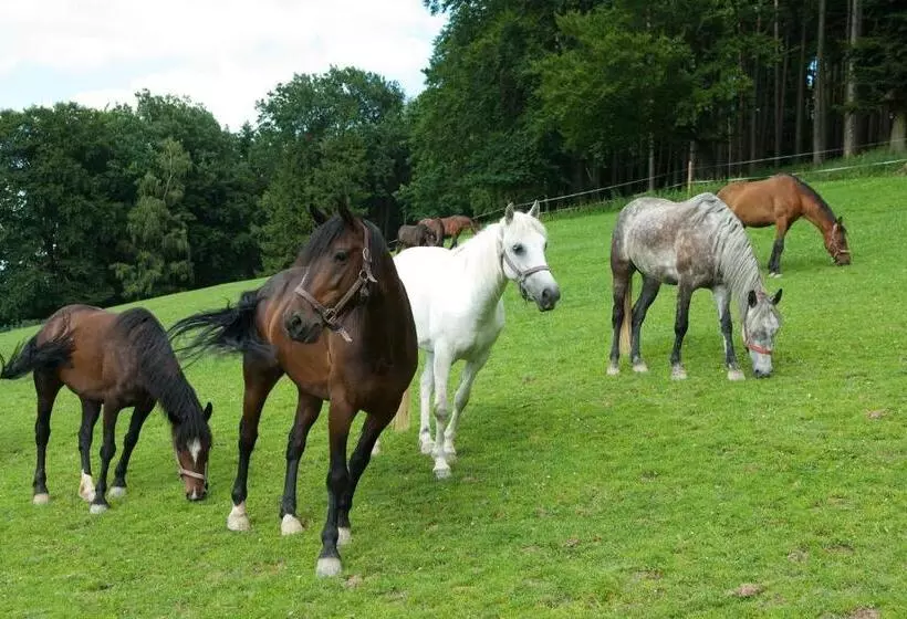 Familienhotel Hochrieß