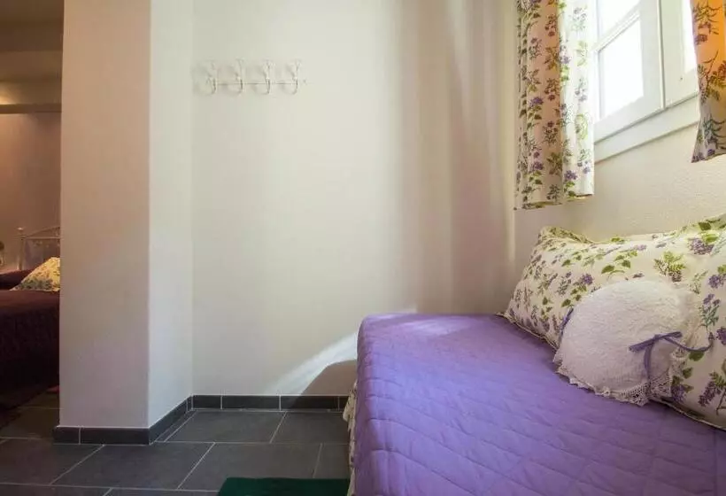 ホテル Agriturismo Ada Musso Ss