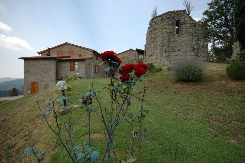 酒店 Agriturismo Badia Ficarolo
