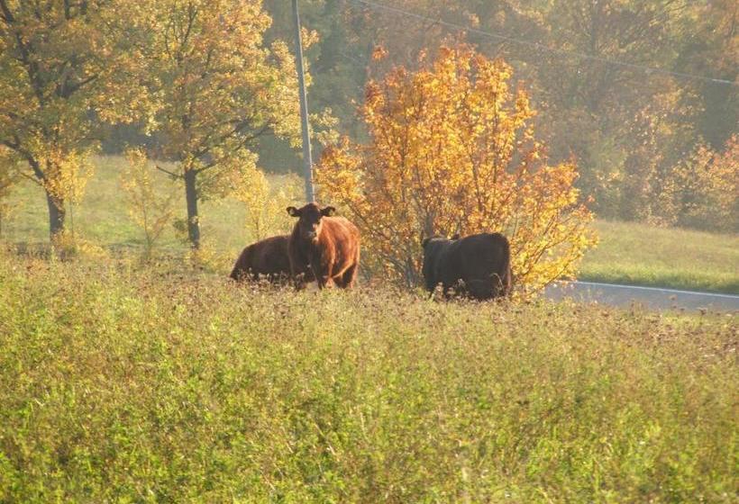 Отель Green Park Monastero
