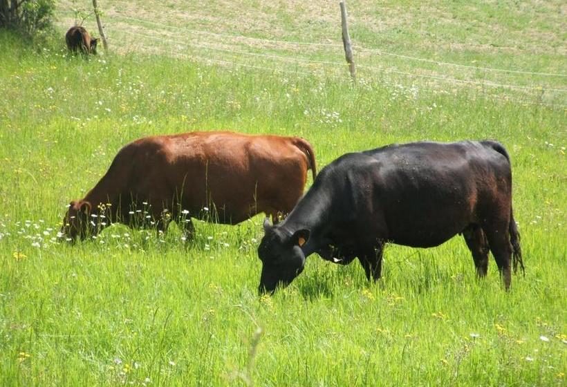 Отель Green Park Monastero