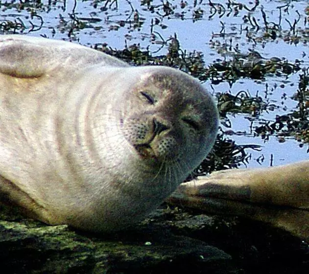 No 1 Broughton Bed & Breakfast