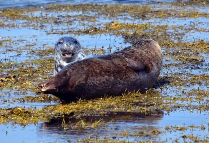 No 1 Broughton Bed & Breakfast