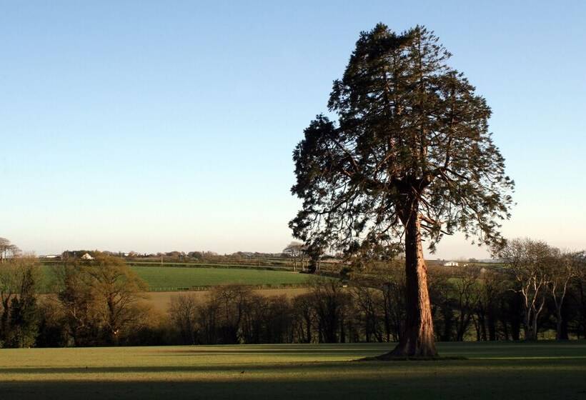 ペンション Over The Rainbow   Vegetarian Guesthouse