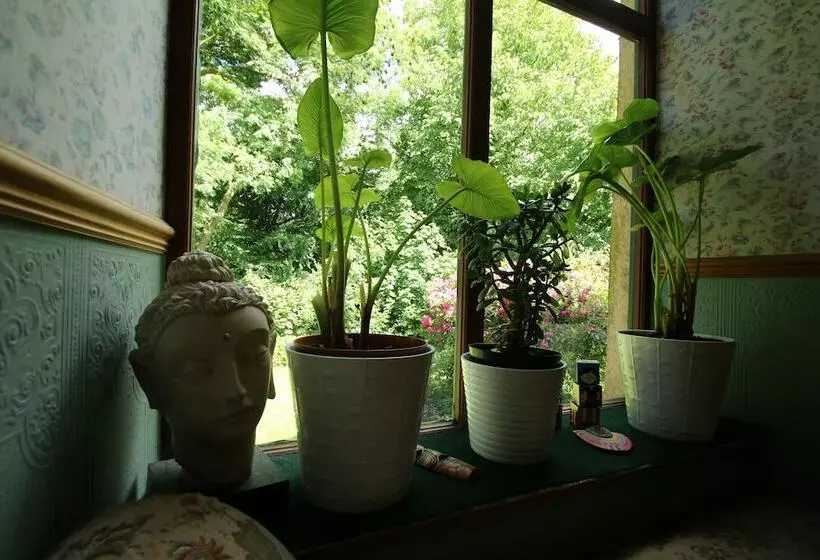 پانسیون Over The Rainbow   Vegetarian Guesthouse