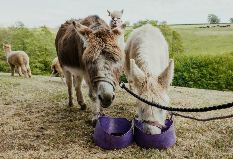 Smeaton Farm Luxury B&b