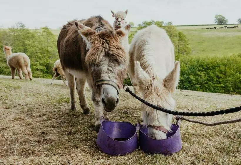 Smeaton Farm Luxury B&b