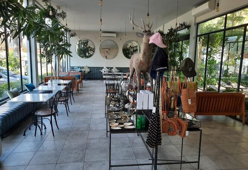 ベッドアンドブレックファースト Lovina Life Room & Cafe