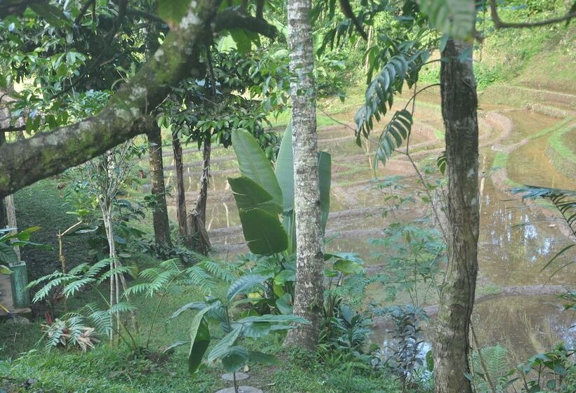 膳宿费 Oemah Tepi Sawah