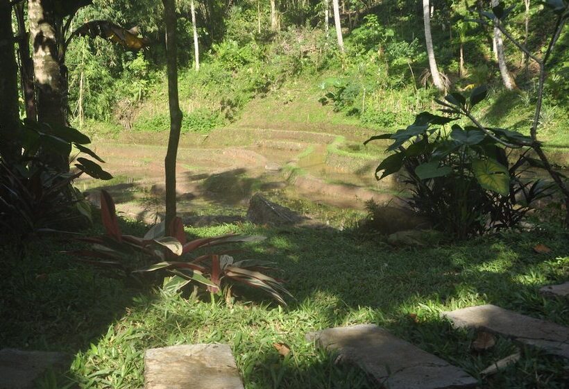 膳宿费 Oemah Tepi Sawah