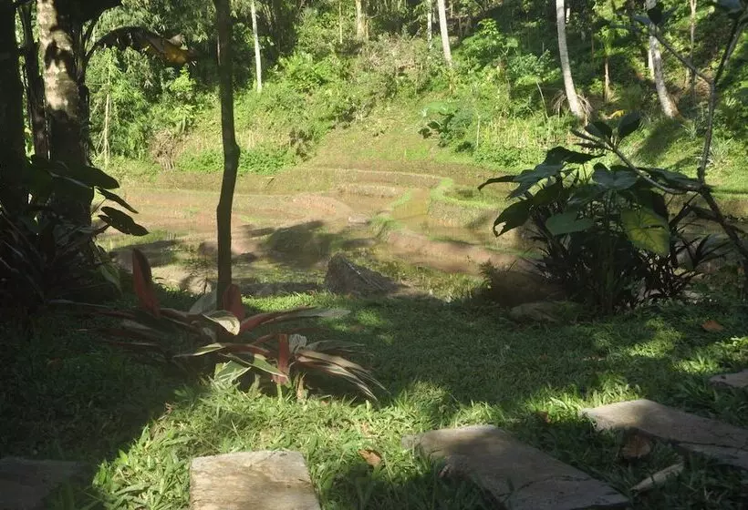 پانسیون Oemah Tepi Sawah