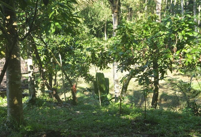 膳宿费 Oemah Tepi Sawah