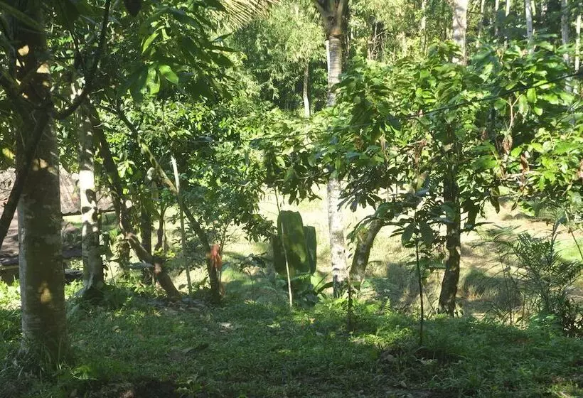 پانسیون Oemah Tepi Sawah