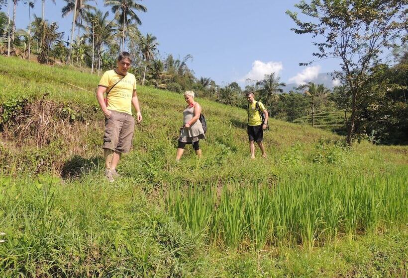 膳宿费 Oemah Tepi Sawah