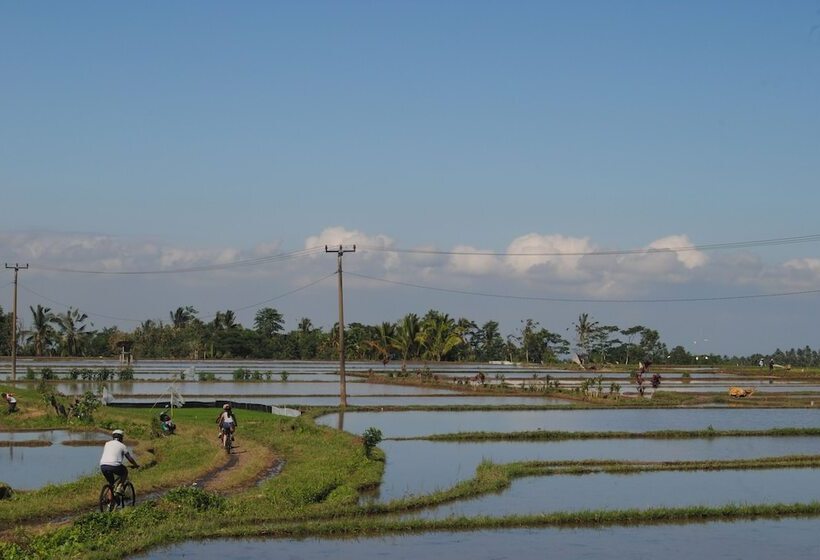 膳宿费 Oemah Tepi Sawah
