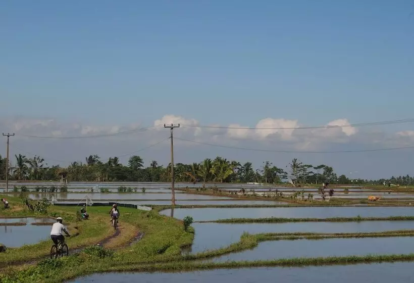 پانسیون Oemah Tepi Sawah