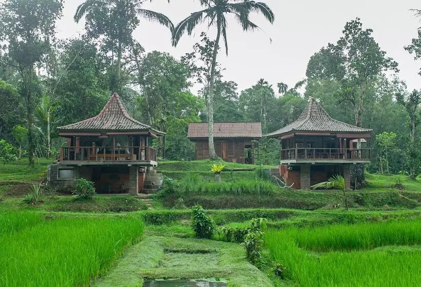 پانسیون Oemah Tepi Sawah