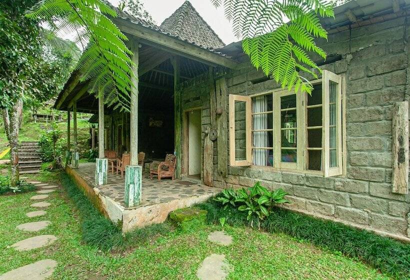 膳宿费 Oemah Tepi Sawah