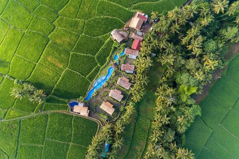 ベッドアンドブレックファースト Beehouse Dijiwa Ubud