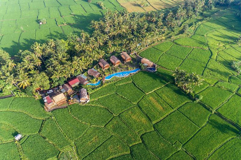 Bed and Breakfast Beehouse Dijiwa Ubud