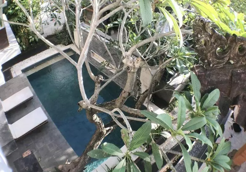 ベッドアンドブレックファースト Kubu Munggu