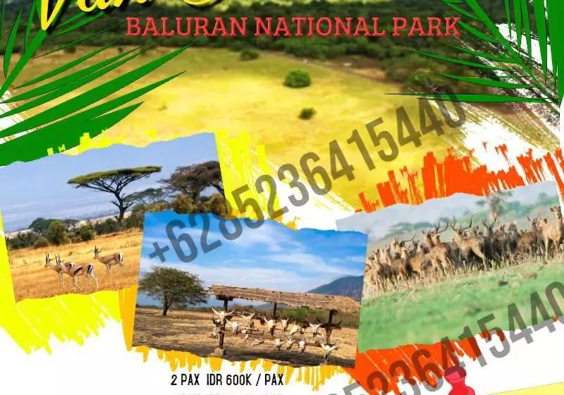 Aamiaismajoitus (B&B) Myhome Homestay