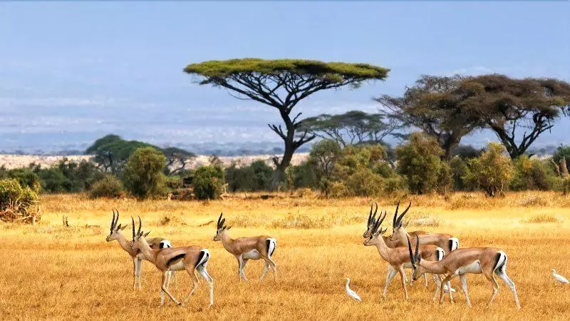 Aamiaismajoitus (B&B) Myhome Homestay