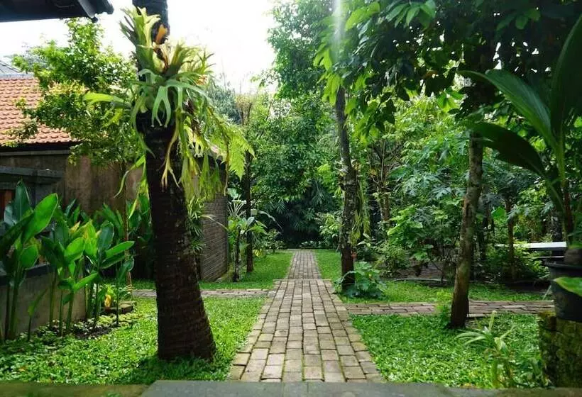 Hotelli Ary House Ubud