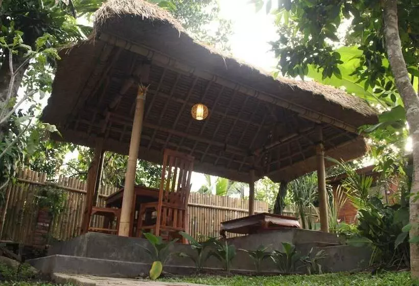 Hotelli Ary House Ubud