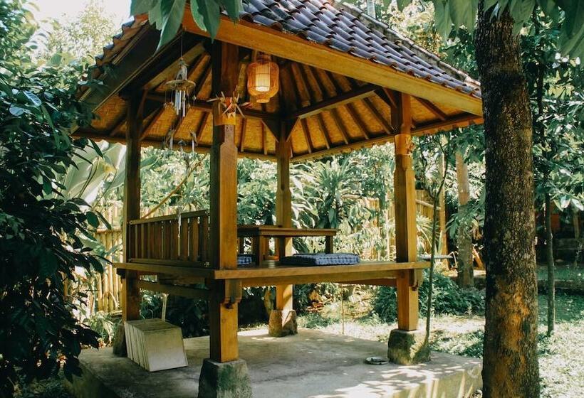 Отель Ary House Ubud