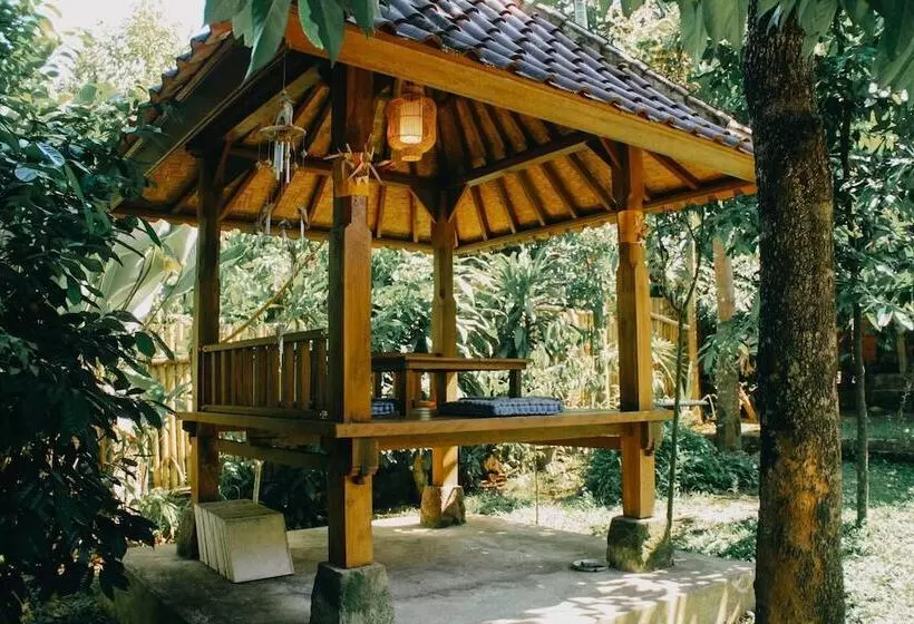 Hotelli Ary House Ubud