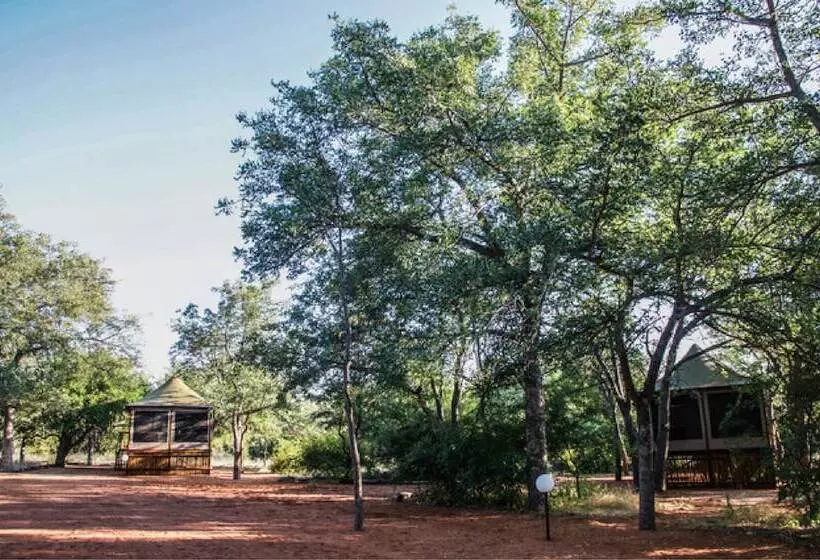 ホテル Iphofolo Lodge