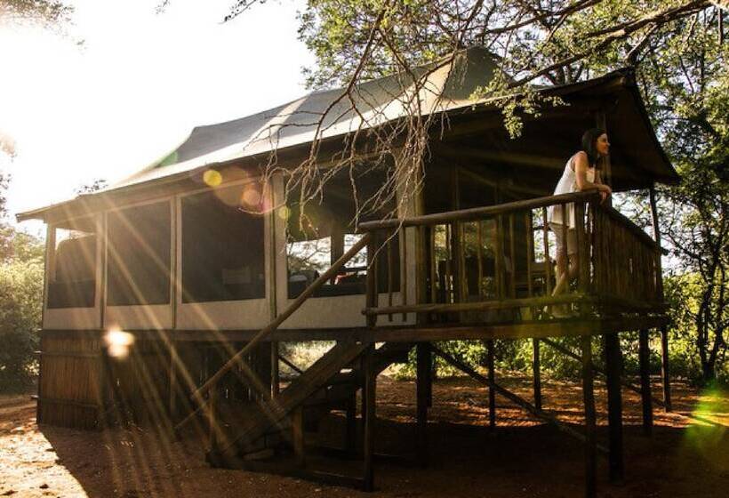 호텔 Iphofolo Lodge