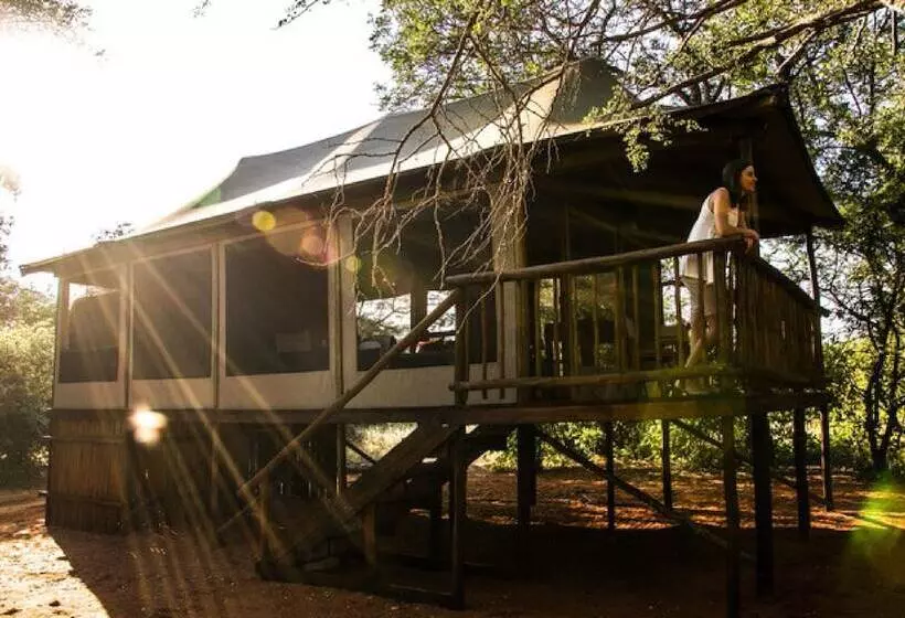 ホテル Iphofolo Lodge