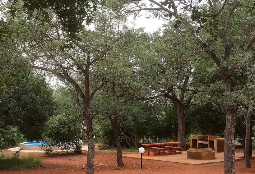 ホテル Iphofolo Lodge