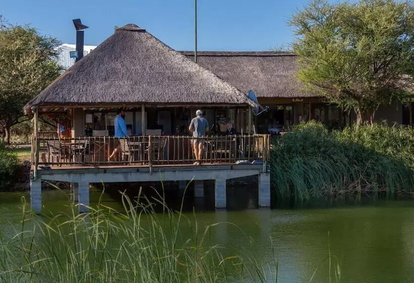 ホテル Iphofolo Lodge