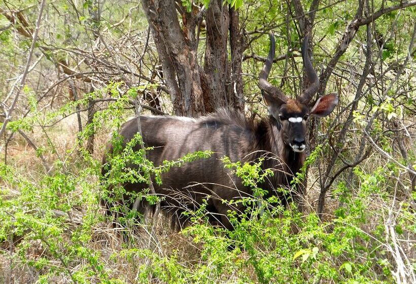 호텔 Iphofolo Lodge