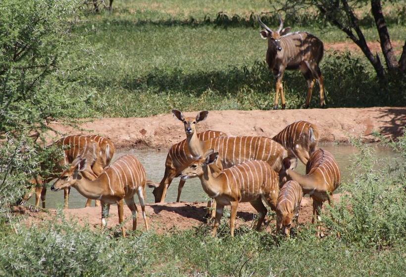 호텔 Iphofolo Lodge